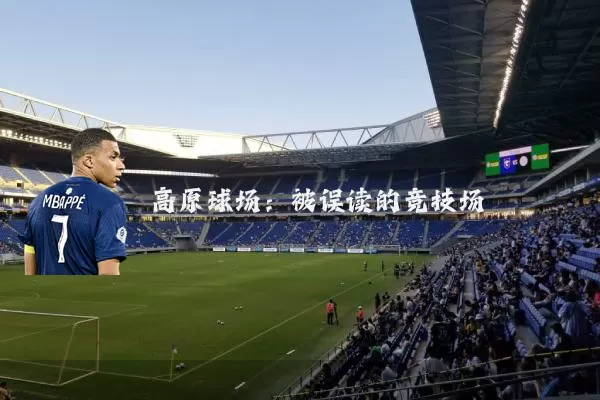 高原球场：被误读的竞技场